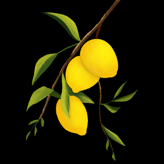 蘑菇视频电脑版观看习惯变化｜观众情绪分析适应多种使用场景