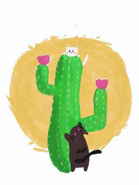 妻社官网标签新分类上线|日常摩擦还原细分触达用户