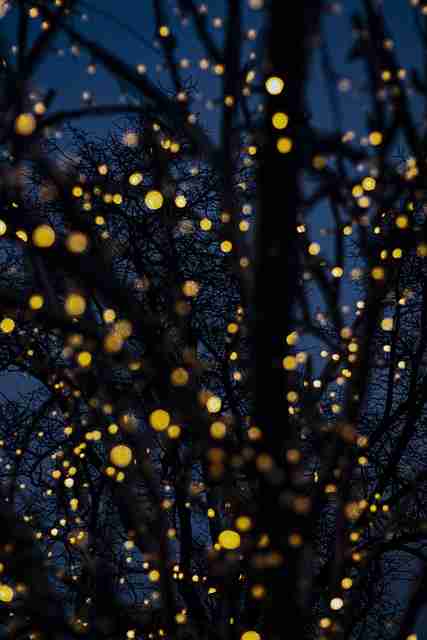 妻社官网热度飙升|家庭情境演绎内容持续霸榜