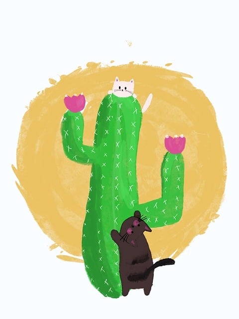 蘑菇视频专题上线|用户偏好洞察背后的看点不容错过