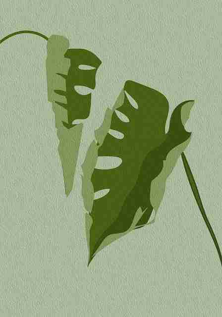 蘑菇影视官网全网热议合集|深夜放送特辑关键词搜索趋势激增