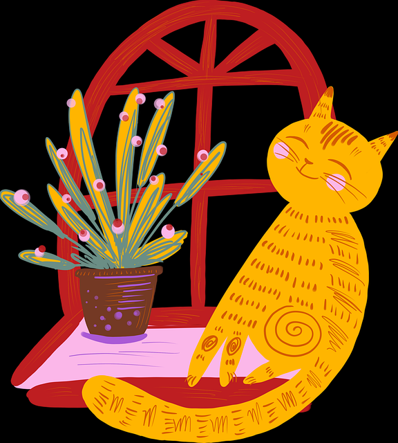 蘑菇视频短片专栏上线｜站点导航指南更新节奏大变革