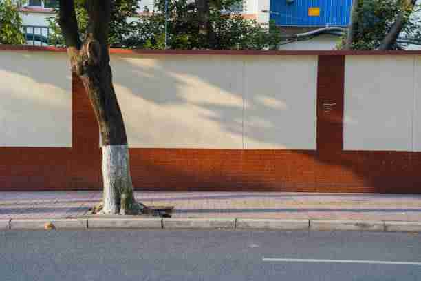 蘑菇视频全网热议合集|追剧神器推荐关键词搜索趋势激增